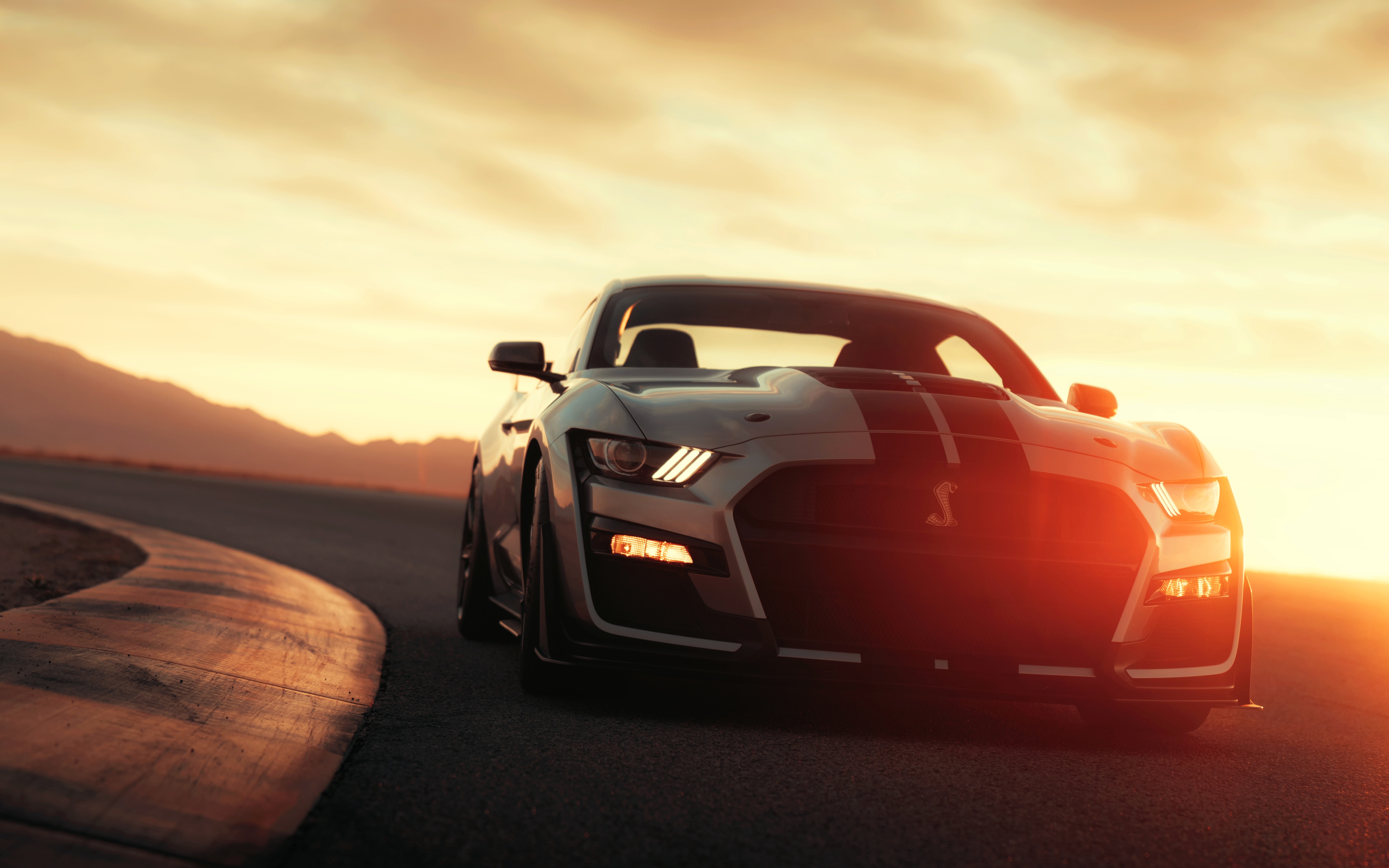 Ein elegantes, silberfarbenes Ford Mustang Shelby GT500, ein Sportwagen der Muscle-Car-Klasse, steht geparkt.